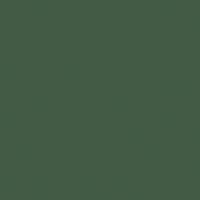 U19008 - Labrador - SD