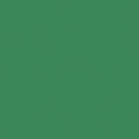 U19005 - Jade - SD