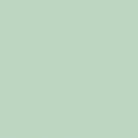 U19006 - Mint - SD