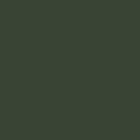 U19504 - Zucchini - SD