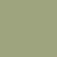 U19503 - Avocado - SD