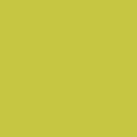 U19509 - Olive - SD