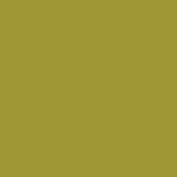 U15110 - Iguana - SD