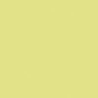 U19505 - Citron - SD