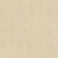 R55064 - Jerusalem Pine - FL