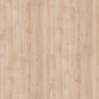 R27044 - Norway Maple - FL