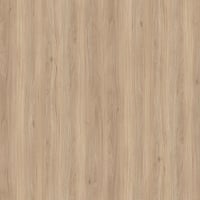 R24101 - Kajus Beech - FL