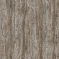 R55004 - Ponderosa Pine - DU