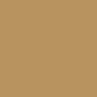 U15008 - Caramel - SD