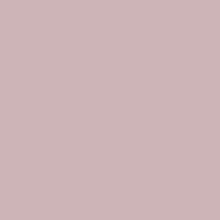 U17501 - Rose - SD