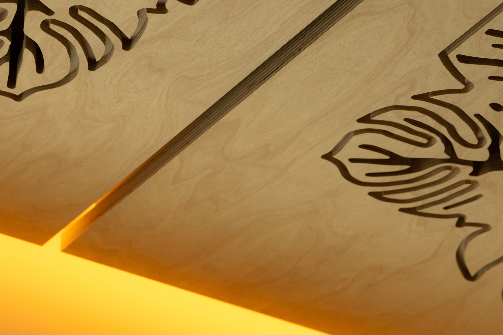 April 26 Article - Image 4