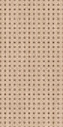 FPG6D24C