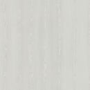 Rotorua Geyser – Light