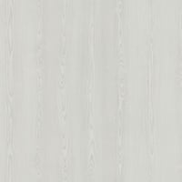 Rotorua Geyser – Light