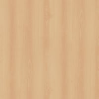 R24035 - Bloomed Beech - VV