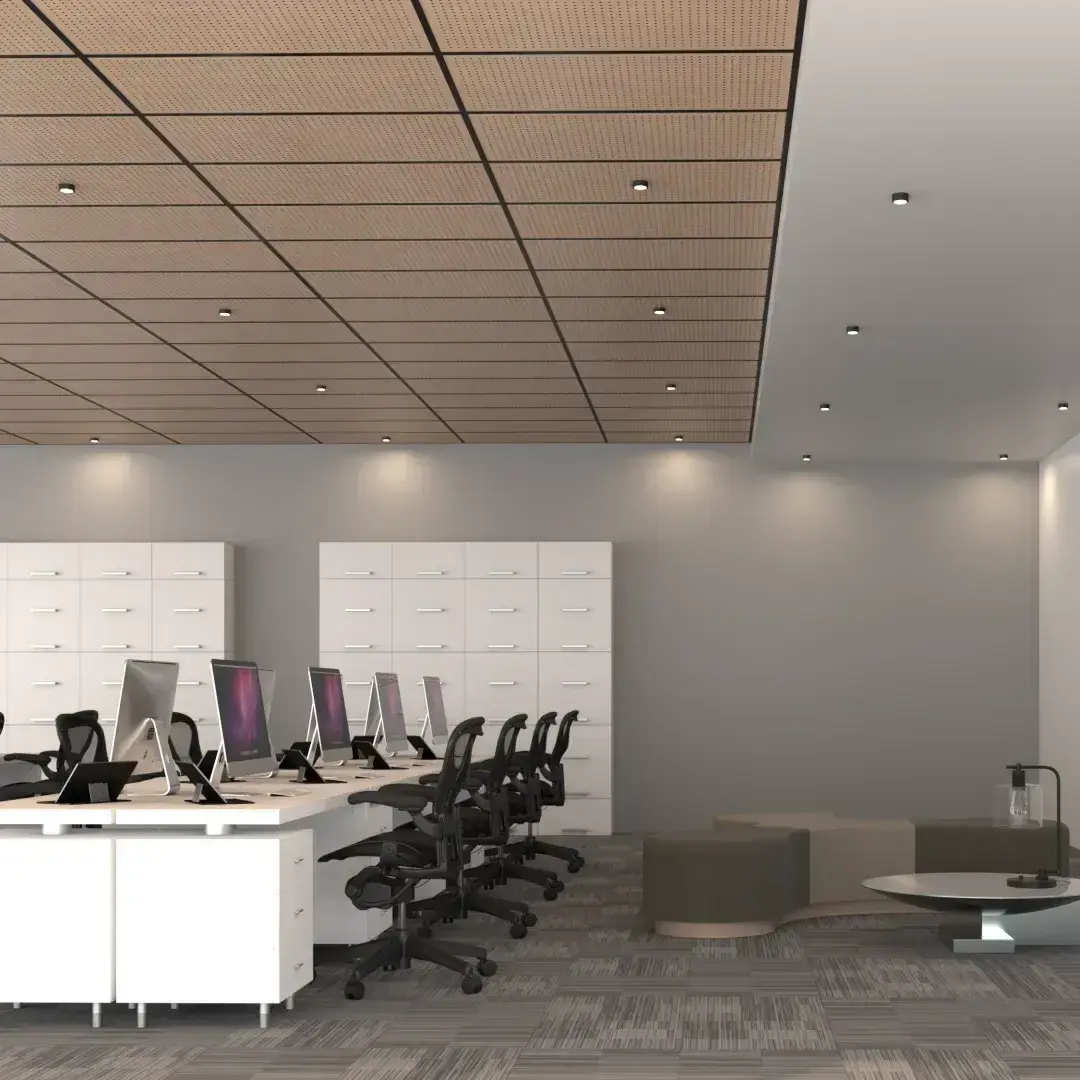 Ceiling Tiles slider 1