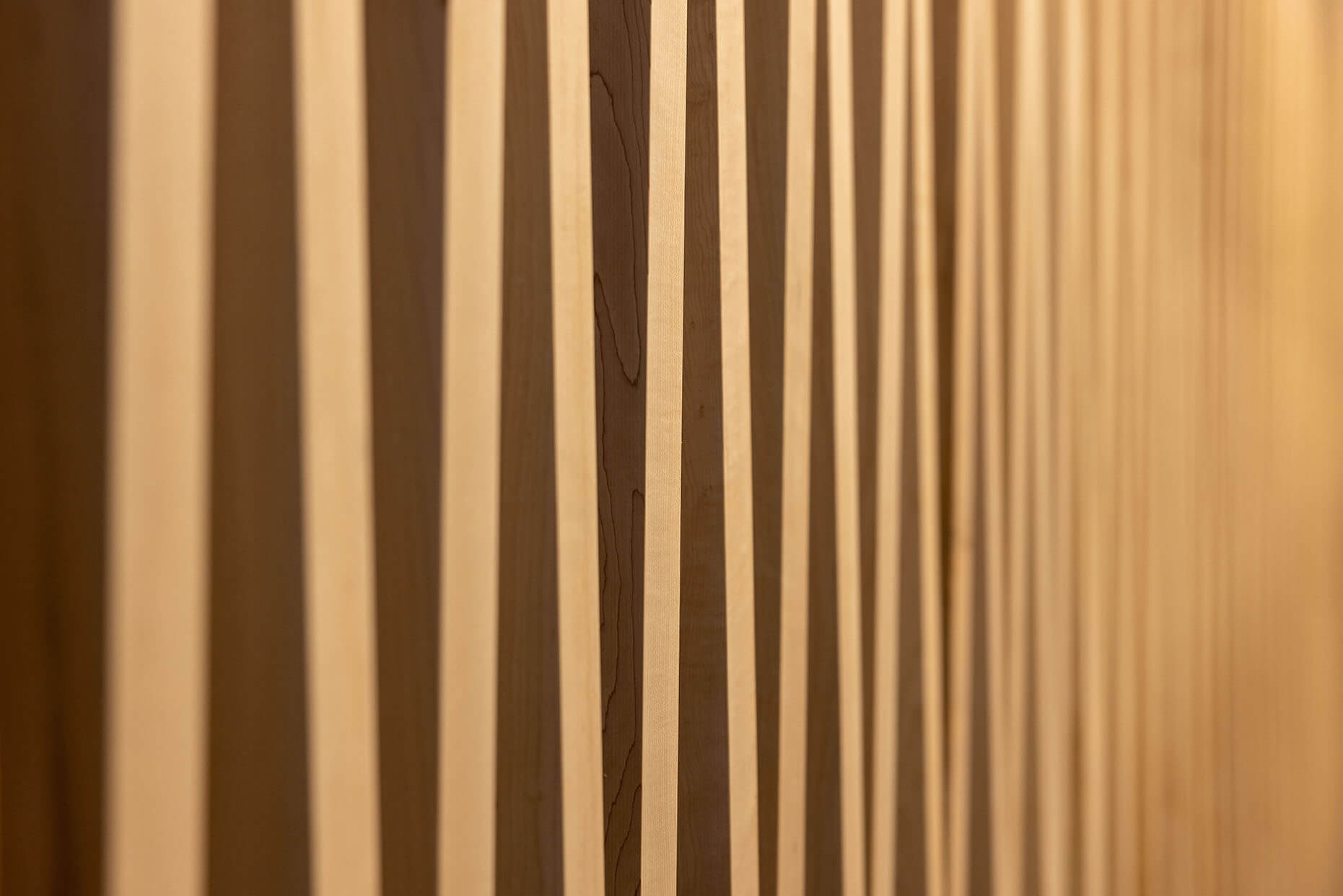 Risland Apartment Complex Project slider 4