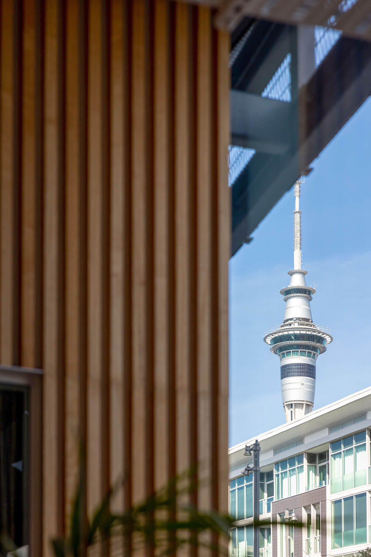 New Zealand Bus Offices Project slider 9