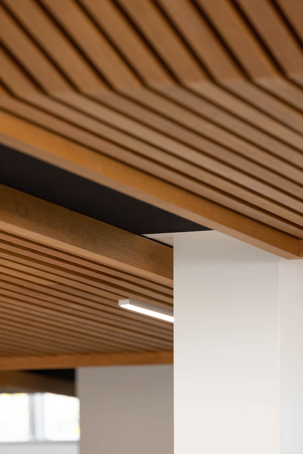 Mount Roskill Grammar School Project slider 7