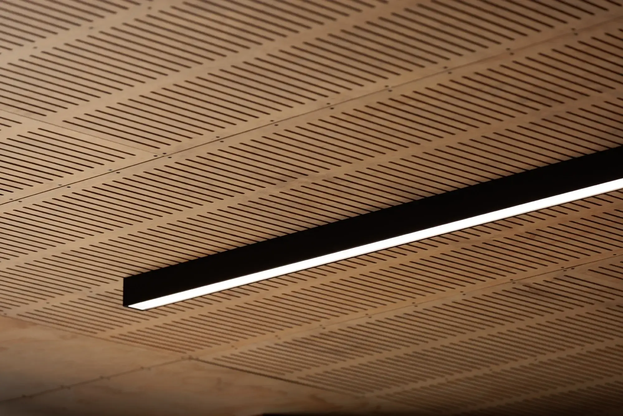 Hastings Boys High School slider 4